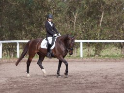 2017 Udkantscup dressur ØLR september